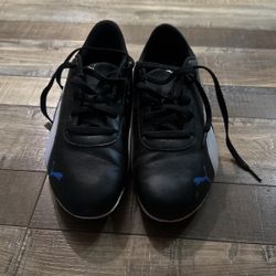 Puma BMW Shoes