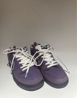 Concepts x Nike SB Dunk Low 'Purple Lobster'