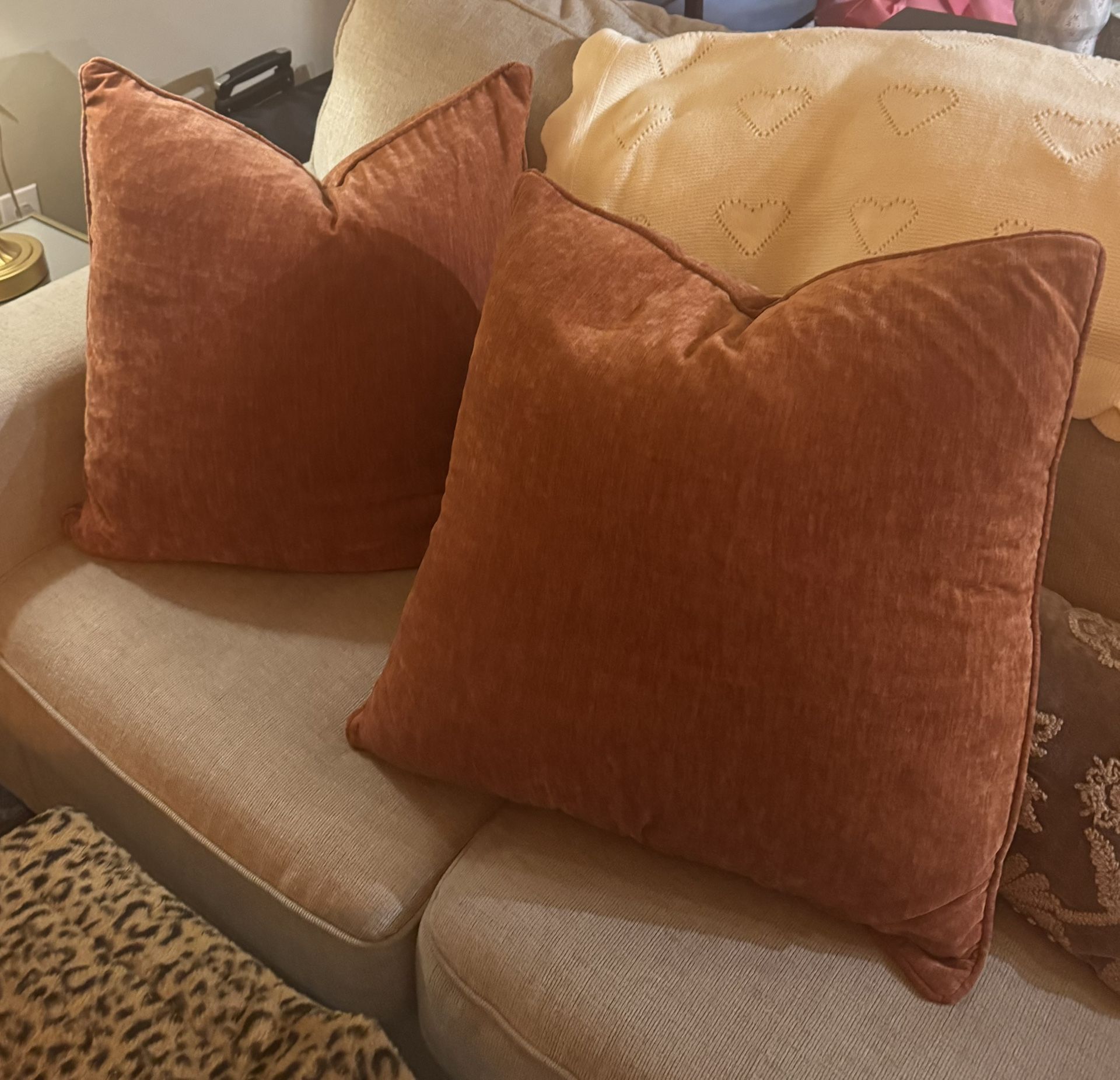 Set Of 2 Throw Pillows