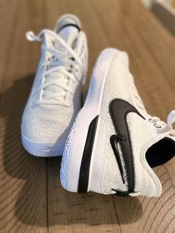 NIKE ZOOM LEBRON NXXT GEN TB P