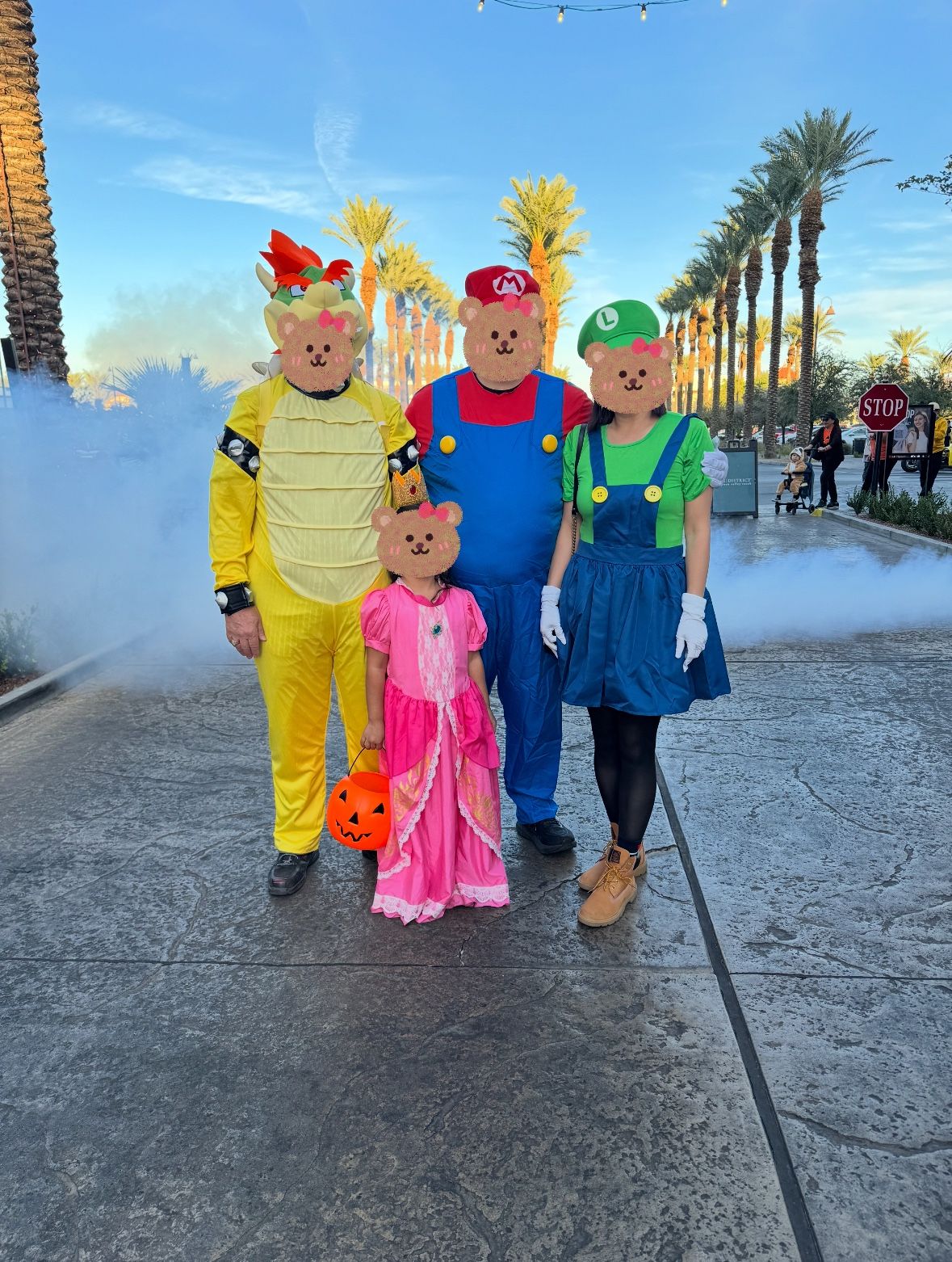 3 Super Mario Family Costumes 