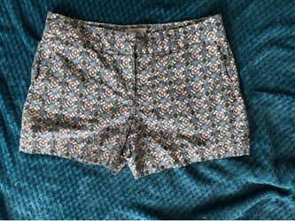 LOFT Women’s Shorts / Size 8