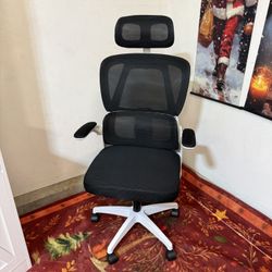 Ergonomic Office Chair