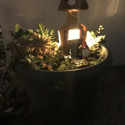  Light up, gnome home succulent garden