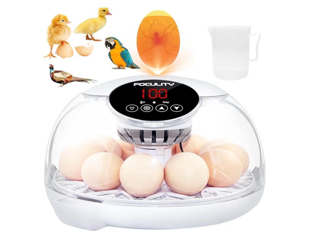 🐣 Almost New Automatic Egg Incubator for Sale 🐣