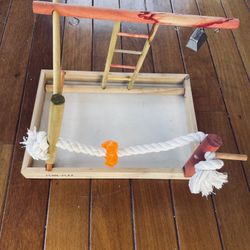 Bird Play Ground 