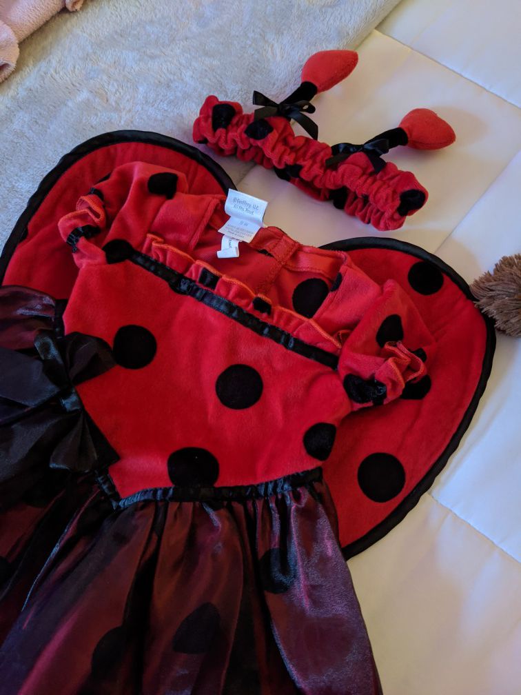 ladybug costume
