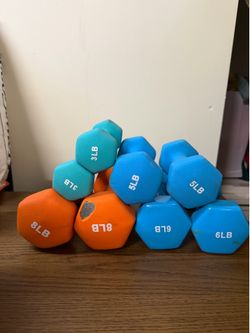 Weight Set - 8, 6, 5, and 3 lb dumbbells