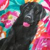 Lauren