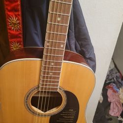 Mitchell D120 dreadnought Acoustic Guitar W Case