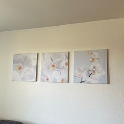 CUADROS DE ORQUÍDEAS