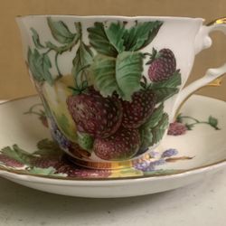 Vintage Regency Cup & Saucer 