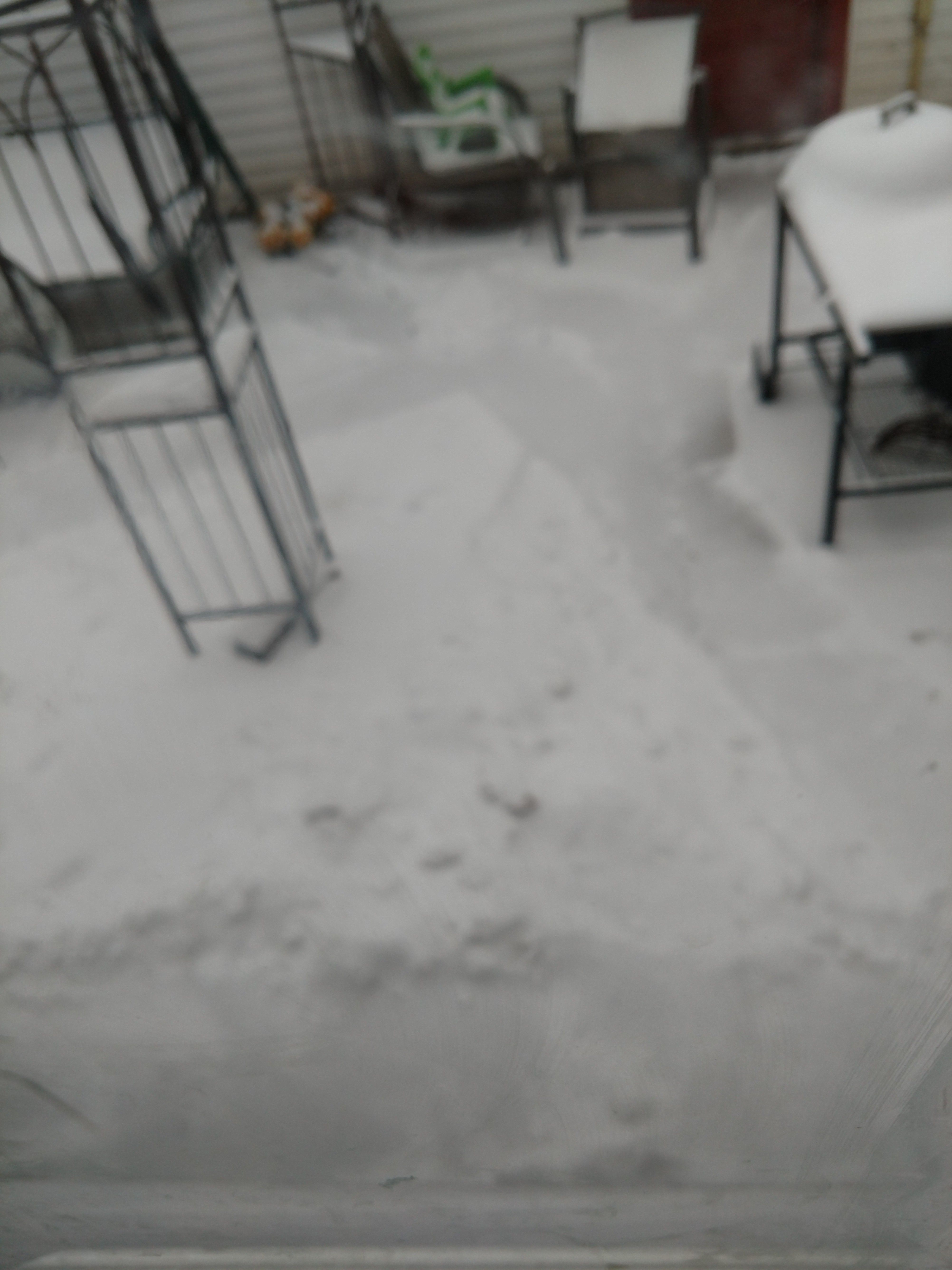 I shovel driveways $20