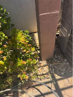Selling 25 feet of rocks