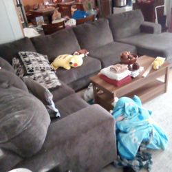 Sectional Couch For Sale