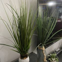 Artificial Plants 