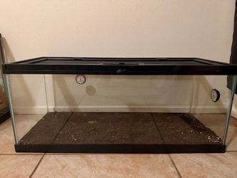 Reptile tank