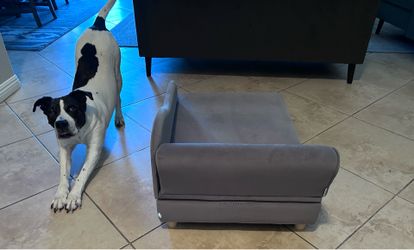 Dog couch