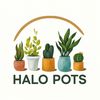 Halo Pots AZ