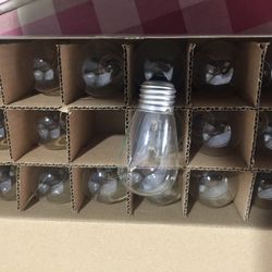 Brand New Light Bulbs 
