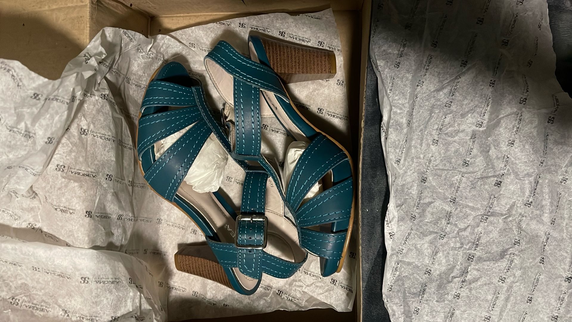 Andrea Teal Blue Shoes