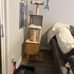 Cat Tree/ Condo