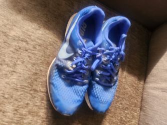 Nike Pegasus (M 10.5)