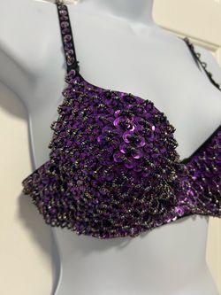 Purple Sequin Beaded Embellished Bra