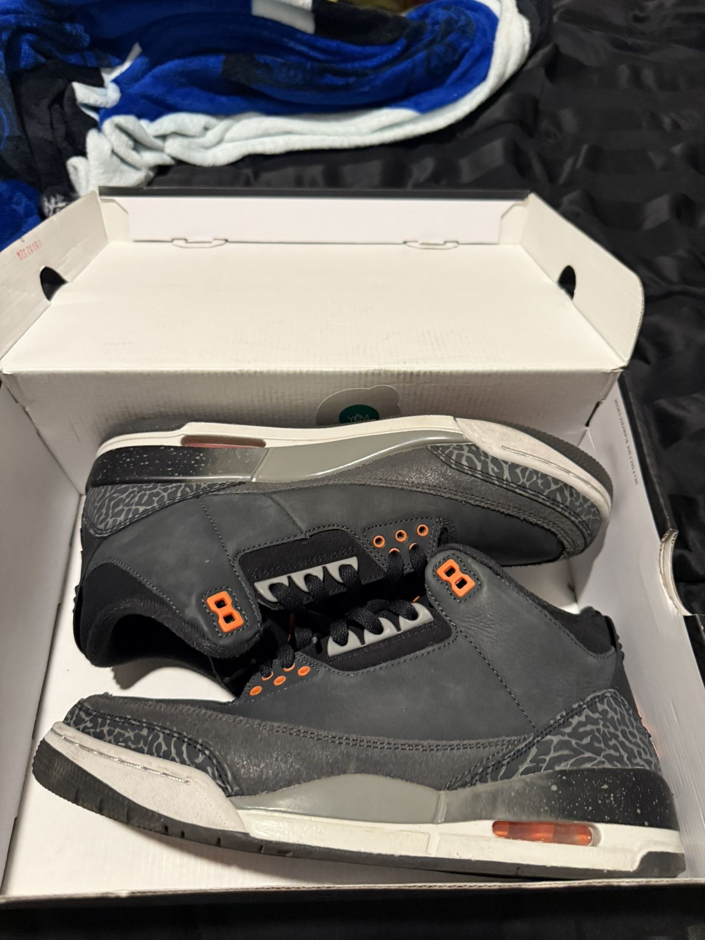 Jordan 3 Fear 9.5