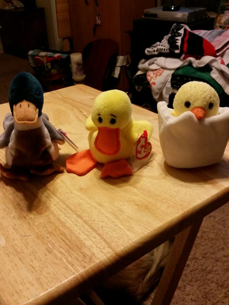 Ducks & chick's beanie babies