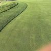 Kingsburg Ca 