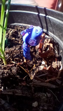 🧚♀️ Fairyland Glass Mushrooms