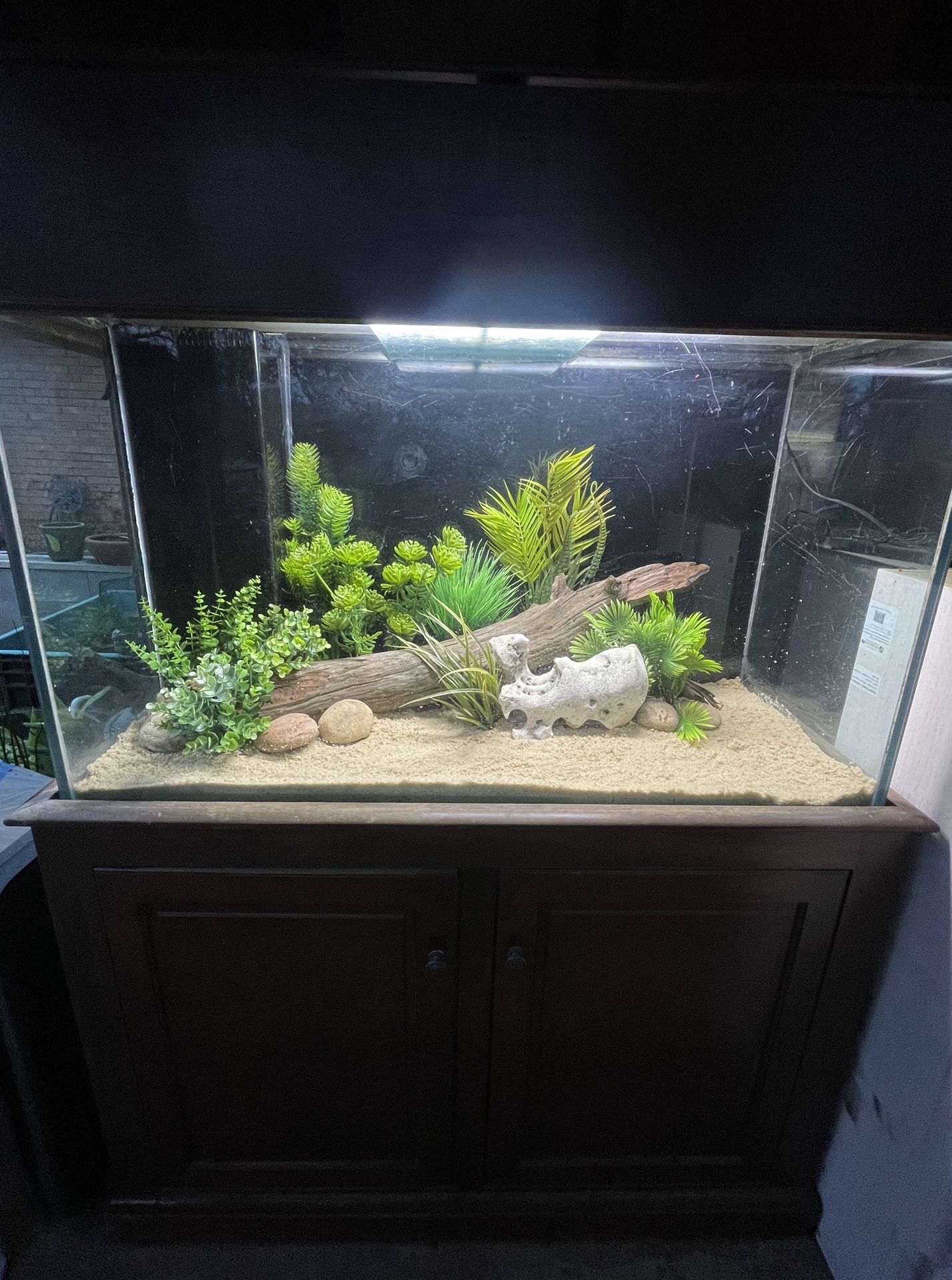 100 Gallon Fish Tank