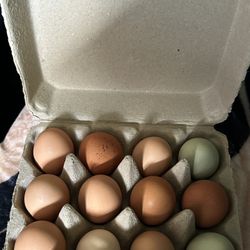 Fresh Farm Eggs