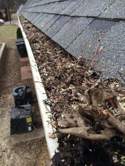 Gutter cleaning