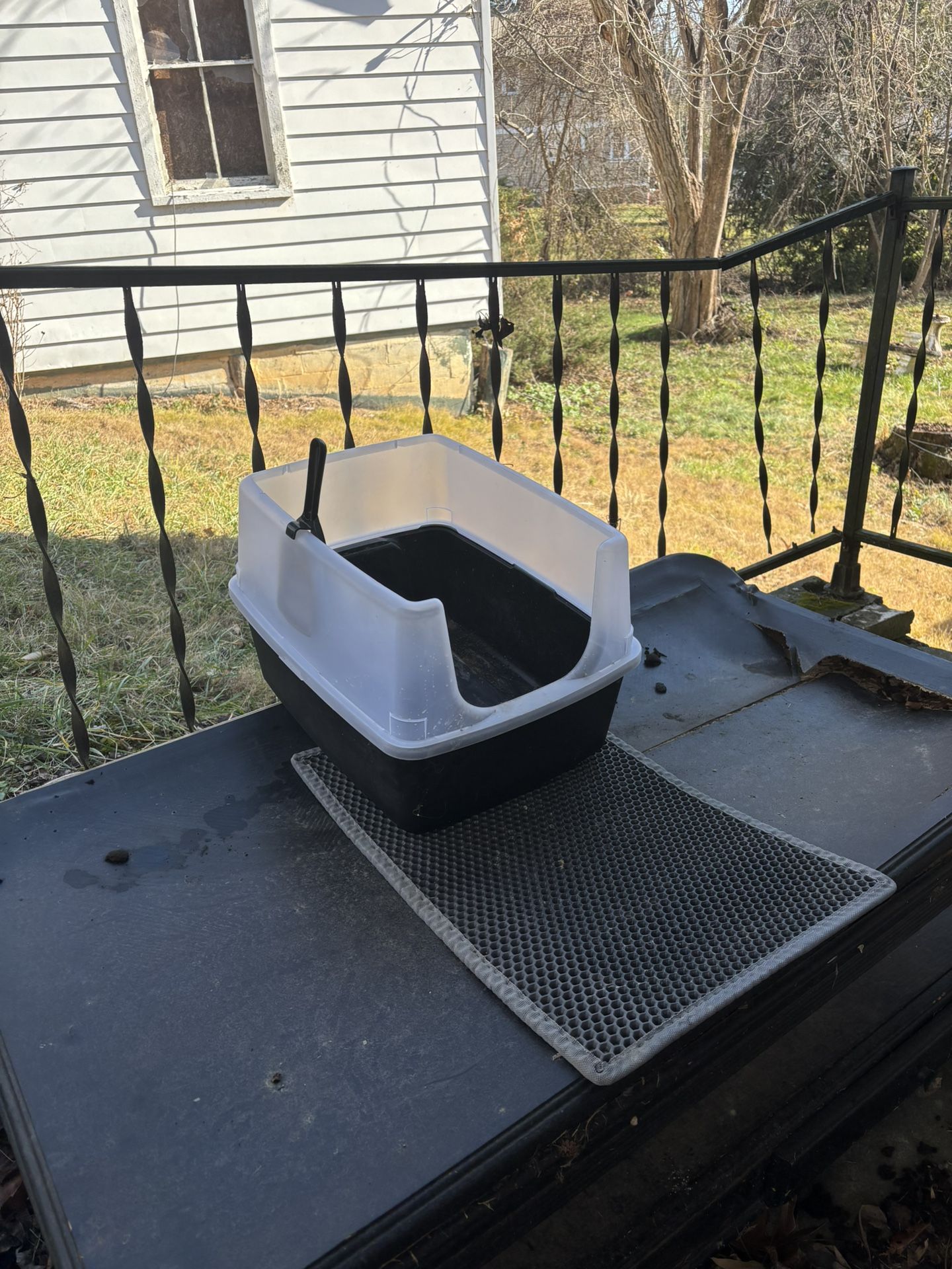 Litterbox and Mat