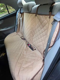 Car seat protector