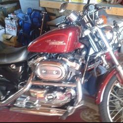 Reward For Stolen 2001 Harley Sportster XL1200