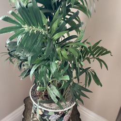 7 Huge Pieces Of Artificial Green Plants With Pots 