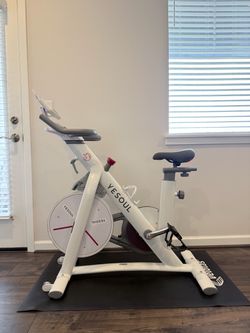 YESOUL smart indoor stationary bicycle