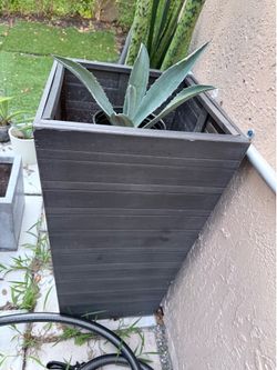 1 Planter $60 2 planters $100