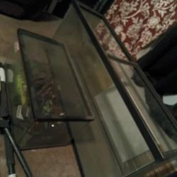 25 Gallon And 40 Gallon Tank