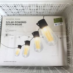 Solar Powered Edison Bulbs 