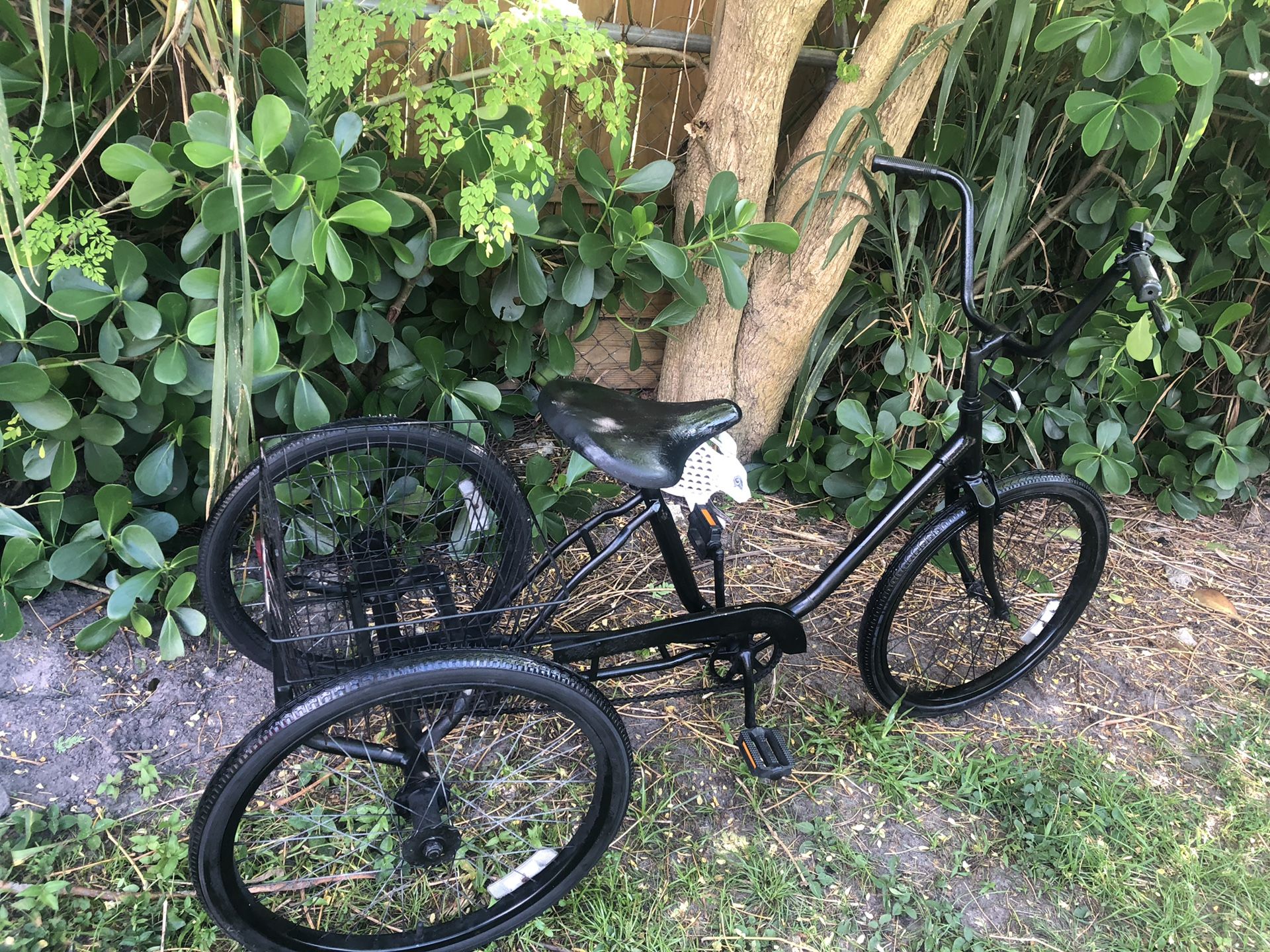 24 MIAMI SUN TRICYCLE