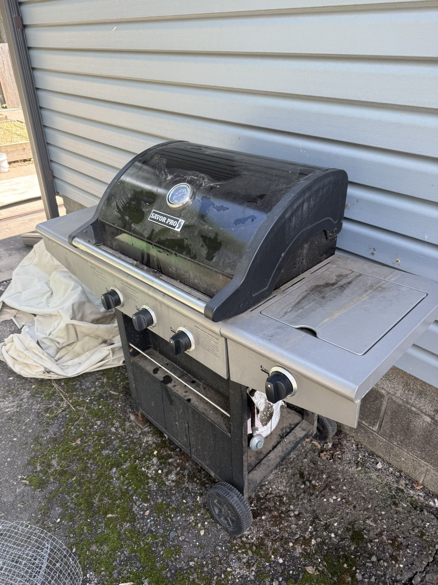 Propane Grill
