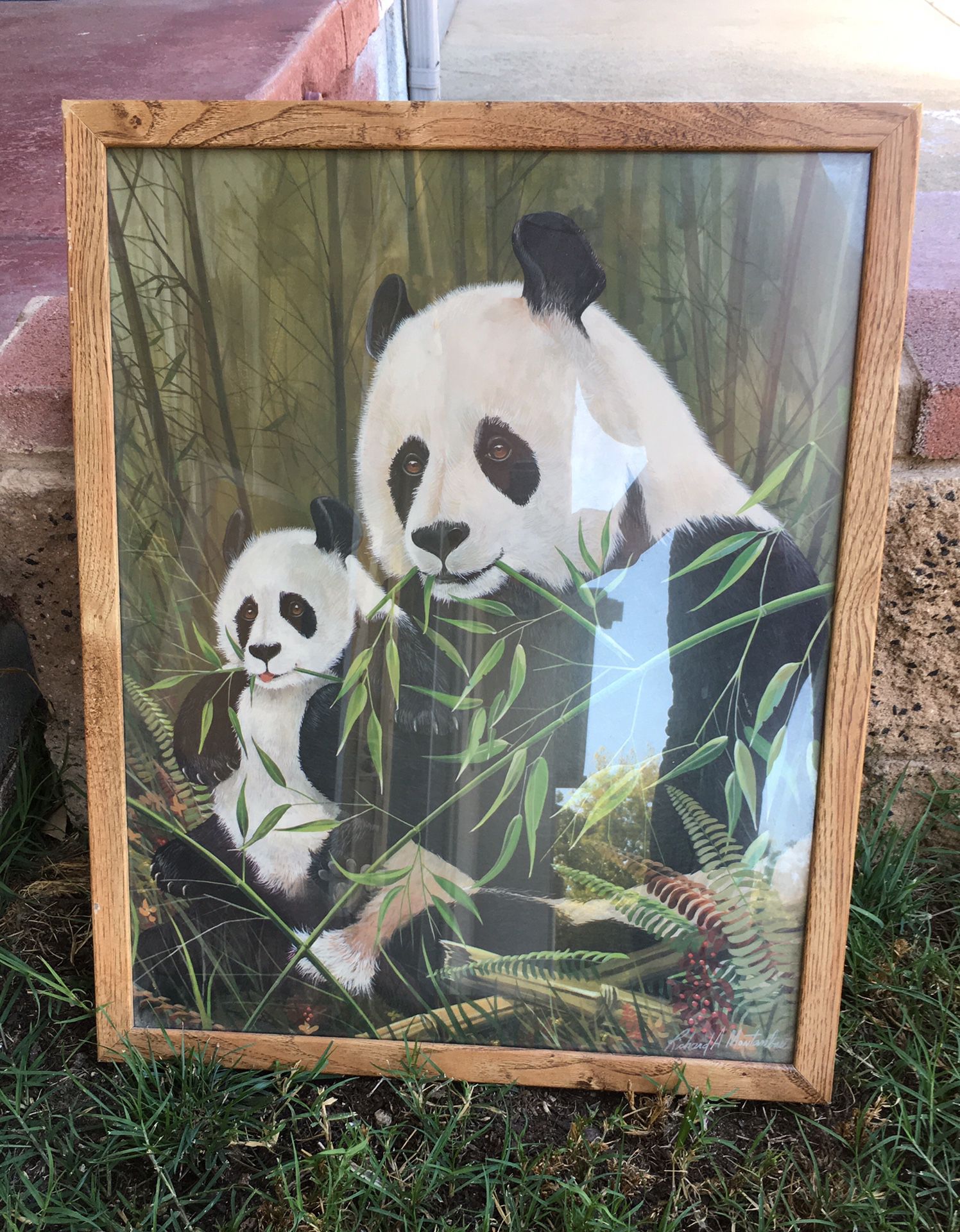 Framed picture of panda