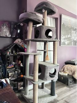 Tall cat tower