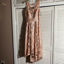 Eliza J Short Dress