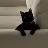 Sammy the Cat