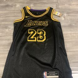 Lakers LeBron James jersey